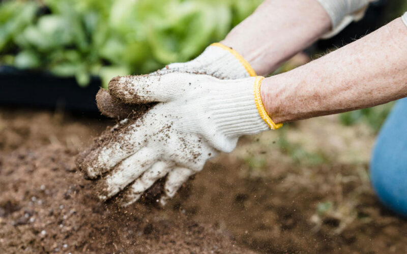 Gardening - healthy aging